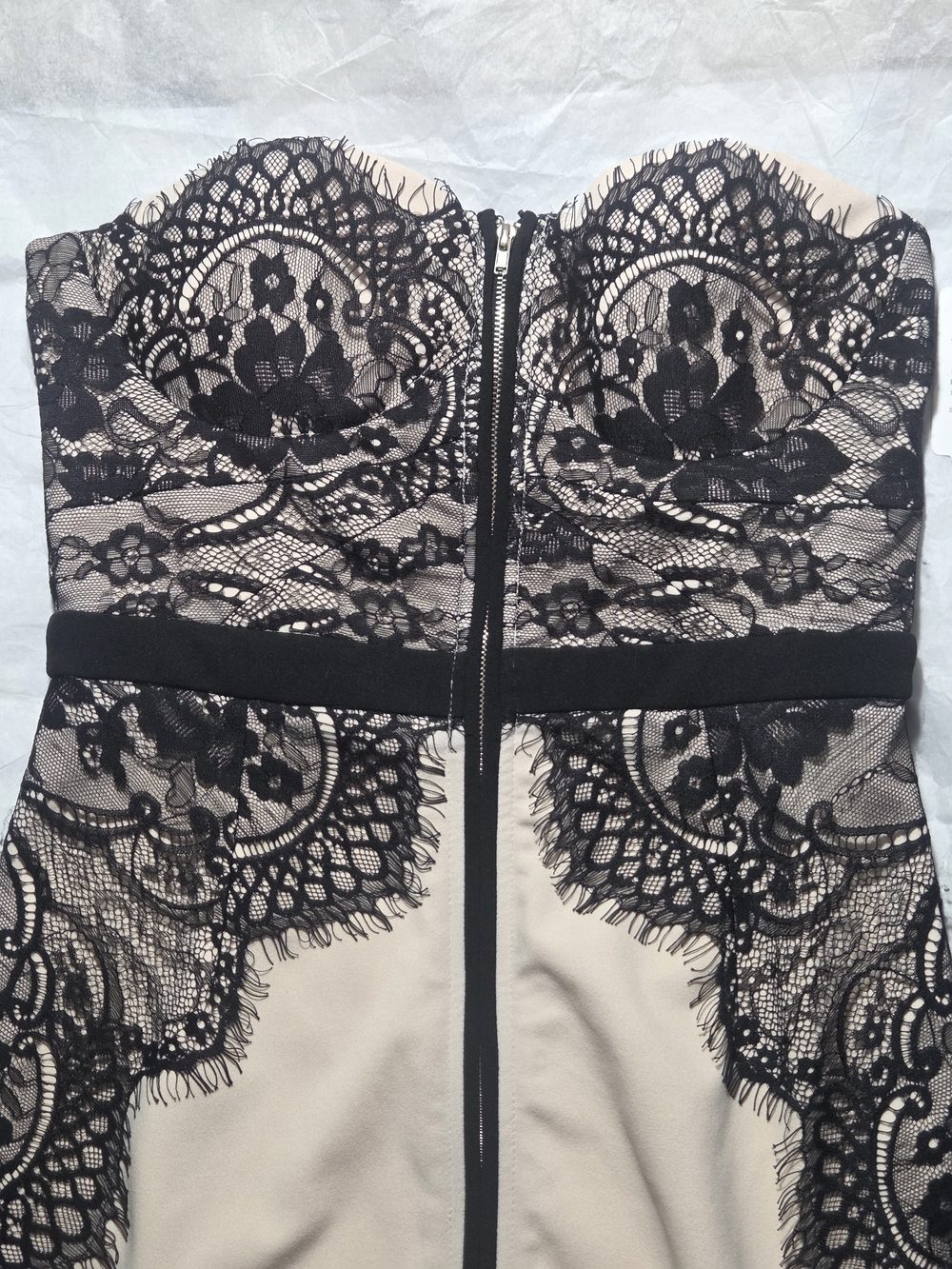 Windsor Strapless Bodycon Blush and Black Lace Sheath Dress - Picture 4 of 11